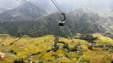 Từ cabin cáp treo nhìn xuống, du khách có thể ngắm khung cảnh hùng vĩ của ruộng lúa vùng cao