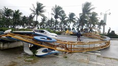 Ảnh hưởng bão số 12, Đà Nẵng đổ sập cổng chào, nhiều cây xanh bật gốc...