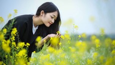 Hoa cải rực rỡ trong tiết mùa đông