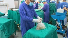 Tạng được bảo quản và vận chuyển từ Bệnh viện 108 để ghép cho bệnh nhân tại Bệnh viện Việt Đức . Ảnh: V.Đ