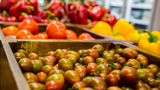 Thế nào là thực phẩm an toàn, sạch và hữu cơ?