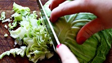 Dược liệu tuyệt vời từ... bắp cải