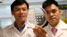 Miếng dán 'hô biến' bụng bia trong 4 tuần