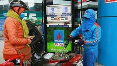 Người dân chia sẻ ý kiến về xăng sinh học E5 sau 1 tuần sử dụng