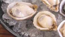 Nguy cơ nhiễm vi khuẩn ăn thịt người từ món ‘khoái khẩu’ hàu sống