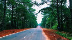 4 con đường ở Tây Nguyên đẹp như cảnh trên phim Hàn