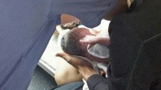 Em bé chào đời khỏe mạnh trên chuyến tàu SE6 nhờ sự trợ giúp của tổ tàu. Ảnh: N.Đ.T