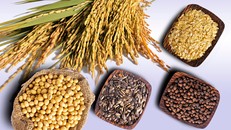 Máu nhiễm mỡ nên ăn gì?