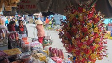 Tại Thừa Thiên - Huế, hoa giấy Thanh Tiên được bày bán khắp nơi, góp phần tô điểm sắc xuân cho phố phường. Ảnh: NGUYỄN DO