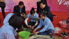Công nhân các khu công nghiệp tại Hà Nội thi gói bánh chưng dịp Tết