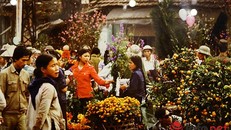 Chợ hoa đào, quất những ngày giáp Tết do phóng viên người Pháp chụp (Ảnh minh họa)