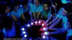 Ảnh minh họa. (Nguồn: TTXVN)