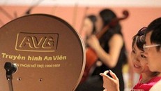 Pháp lý vụ hủy bỏ hợp đồng chuyển nhượng AVG