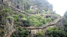 ‘Bức hại’ di sản: Phải chăng do thiếu chế tài?