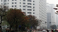 N01-D17 đang trong giai đoạn hoàn thiện và có dấu hiệu bị thổi giá