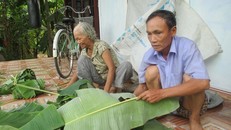 Bà Cam cùng chùng đang cuốn lá chuối. Bà Cam cho rằng bà đã không hề ngủ trong vòng 9 năm