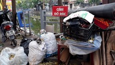 Trên phố Hoàng Ngân, biển "Cấm đổ rác" gắn rất rõ ràng nhưng dường như không ai để ý