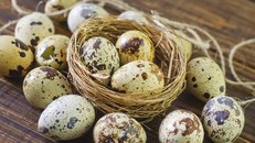 Trứng cút có hàm lượng vitamin A cao gấp 2,5 lần trứng gà