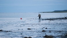 Ngăn chặn việc khai thác mỏ xâm hại Alaska