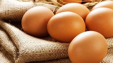 Những lợi ích tuyệt vời từ quả trứng có thể bạn chưa biết