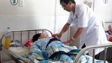 Ảnh minh họa (Ảnh TTXVN)