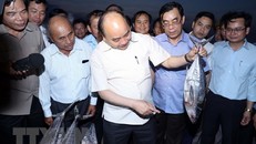 Thủ tướng Nguyễn Xuân Phúc thăm Cáng cá Cửa Việt. (Ảnh: Thống Nhất/TTXVN)