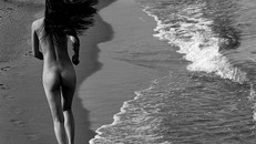 Tác phẩm của Nguyễn 