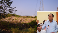 Một góc khu đất tại xã Phước Kiển, huyện Nhà Bè được UBND TP chấp thuận cho Công ty TNHH một thành viên đầu tư và xây dựng Tân Thuận thực hiện dự án và ông Tất Thành Cang (ảnh nhỏ) - Ảnh: XUÂN HƯNG, tư liệu Tuổi Trẻ