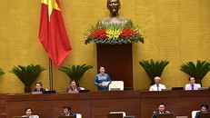 Máy tính Quốc hội treo vì nhiều đại biểu bấm nút hàng trăm lượt