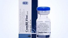 Những liều vaccine ComBE Five đầu tiên chuẩn bị được nhập về nước
