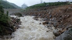 Ảnh minh họa: Quý Trung/TTXVN