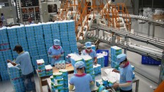 Người Nhật chi hơn 2.000 tỷ đồng mua công ty giấy lớn nhất Việt Nam