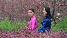 Thủ tướng quyết định nghỉ 9 ngày dịp Tết Nguyên đán. Ảnh: Hoàng Hà.