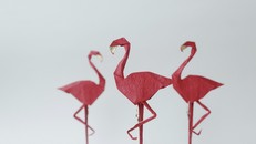 Tác phẩm Flamingo (Hồng hạc). Tác giả: Nguyễn Linh Sơn