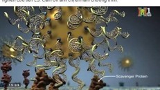 Bộ Y tế đề nghị đóng Facebook TS Doãn Hà Thắng quảng cáo nano vàng