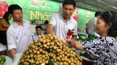 Người Hà Nội đội mưa đi mua nhãn Sơn La