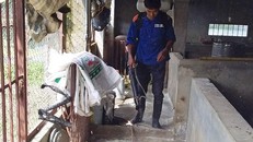 Hơn 3.000 hộ dân huyện Chương Mỹ đã thoát úng ngập