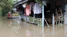 Những ngôi nhà ngập trong nước lũ tại xã Vĩnh Hòa, Tân Châu (An Giang) . Ảnh: Thanh Tùng/TTXVN