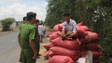 Đơn vị thanh tra giao thông xử lý vi phạm. Ảnh: Ái Loan.