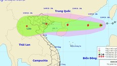 Yêu cầu khẩn trương ứng phó Bão số 5, siêu bão Mangkhut