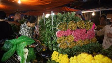 Chợ hoa đêm Quảng An nhộn nhịp trước thềm 20/10
