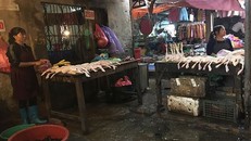 Bày bán gia cầm tại một chợ ở Hà Nội Ảnh: VNN