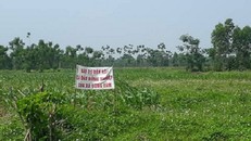 Vụ Đồng Tâm mới thực hiện 17/34 nội dung kết luận sau thanh tra