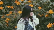 Hoa dã quỳ, đồi cỏ hồng mê mẩn giới trẻ tới Đà Lạt check-in