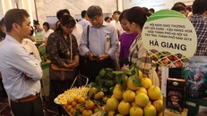 Đẩy mạnh kết nối cung - cầu hàng hóa giữa Hà Nội và các tỉnh