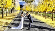 Tuấn Hưng tung ảnh 'cưới lần 2' ở Mỹ, dàn sao Việt bất ngờ lên tiếng