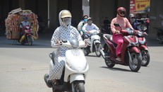 Nhiều đợt nắng nóng gay gắt kéo dài trong năm 2019: Đâu là nguyên nhân?