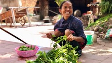 Kiếm tiền bằng cách làm Vlog như bà Tân có nhanh giàu?