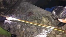 Hiện trường nơi phát hiện thi thể cháu bé. (Ảnh: Kênh 14)