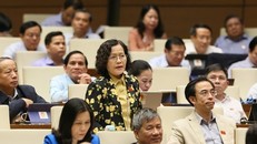 Đại biểu Trần Thị Quốc Khánh, đoàn Hà Nội. (Ảnh: Quốc hội).